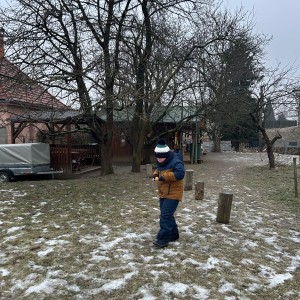 Lednová Lemuří výprava do Vidy