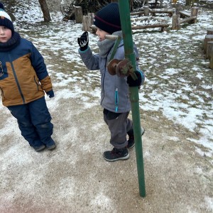 Lednová Lemuří výprava do Vidy