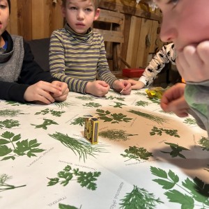 Lednová Lemuří výprava do Vidy