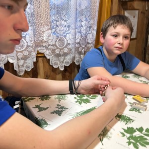 Lednová Lemuří výprava do Vidy