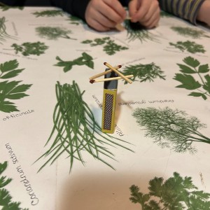 Lednová Lemuří výprava do Vidy