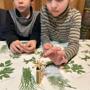 Lednová Lemuří výprava do Vidy