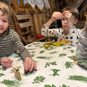 Lednová Lemuří výprava do Vidy