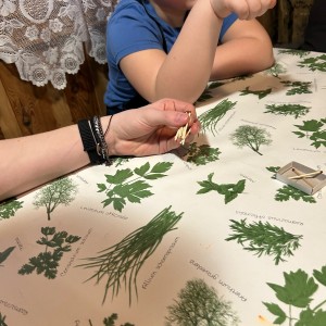 Lednová Lemuří výprava do Vidy