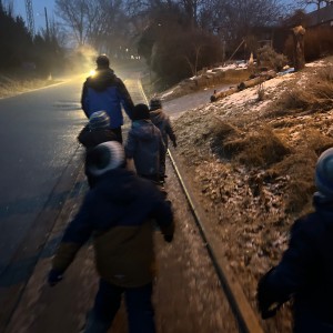 Lednová Lemuří výprava do Vidy