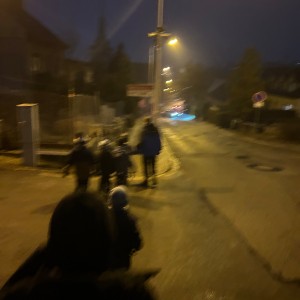 Lednová Lemuří výprava do Vidy