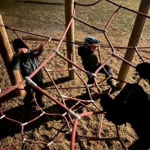 Lednová Lemuří výprava do Vidy