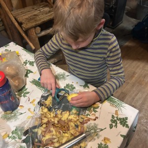 Lednová Lemuří výprava do Vidy