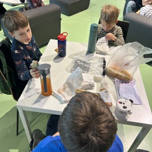 Lednová Lemuří výprava do Vidy