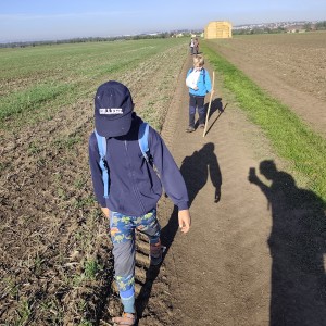 Lemuři na Mohyle míru
