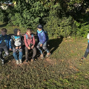 Lemuři na Mohyle míru