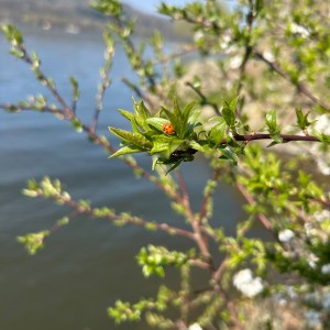 Lemuří výprava na Prýgl