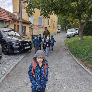 Lemuři v jeskyních podél Říčky