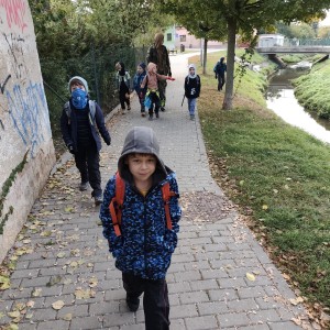 Lemuři v jeskyních podél Říčky