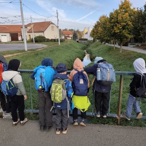 Lemuři v jeskyních podél Říčky