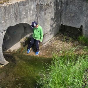 Pandy a Sokoli na Barborce