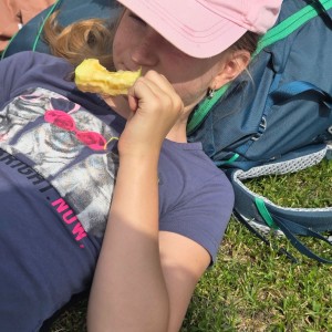 Pandy a Sokoli na Barborce