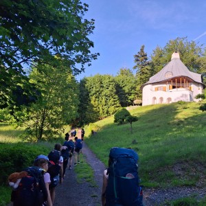 Pandy a Sokoli na Barborce