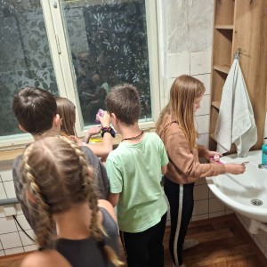 Pandy a Sokoli na Barborce
