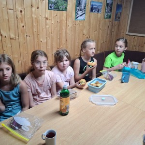 Pandy a Sokoli na Barborce