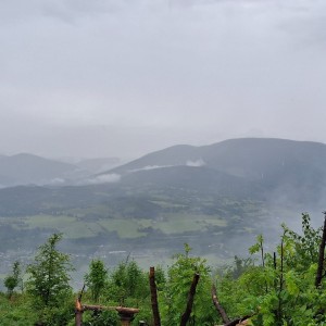 Pandy a Sokoli na Barborce