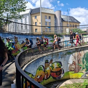Pandy a Sokoli na Barborce
