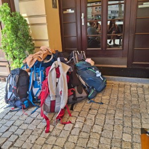 Pandy a Sokoli na Barborce
