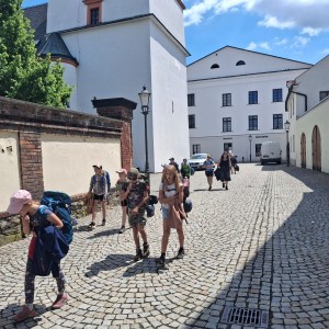 Pandy a Sokoli na Barborce