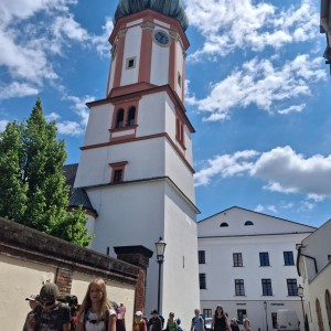 Pandy a Sokoli na Barborce