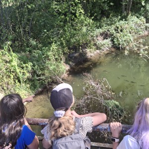 Pandy na Olešné