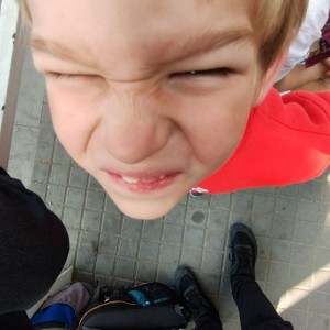 Rybky, Jestřábi a Lemuři v Blansku
