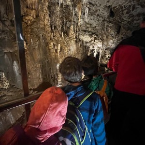 Rybky, Jestřábi a Lemuři v Blansku