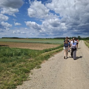 Soví akce 67