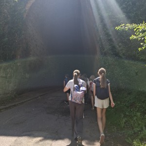Soví akce 67