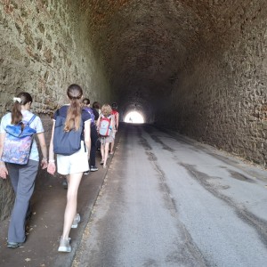 Soví akce 67