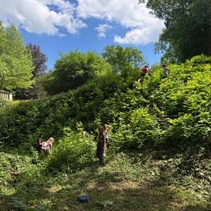 Soví akce 67