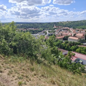 Soví akce 67