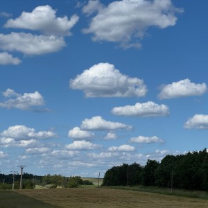 Soví akce 67