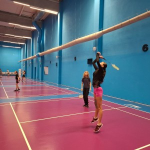 Soví badminton