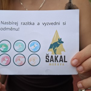 Soví lukostřelba