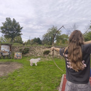 Soví lukostřelba