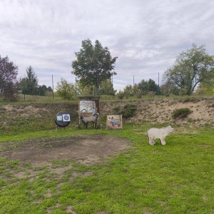 Soví lukostřelba