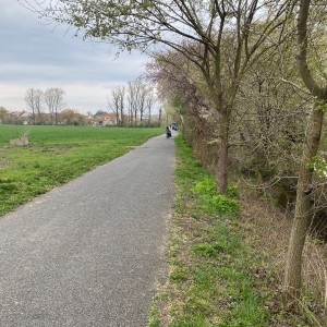 Ukliďme Šlapanice 2026