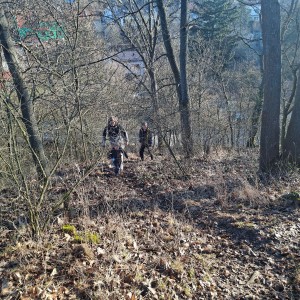 Lemuří únorová přepávačka