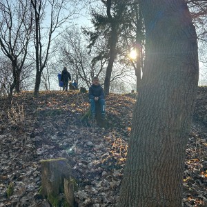 Lemuří únorová přepávačka