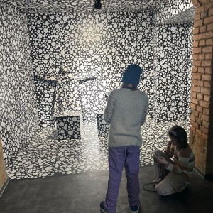 Výprava Lasiček do Absurdia