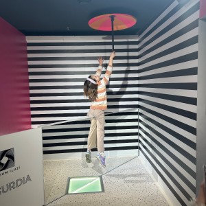 Výprava Lasiček do Absurdia