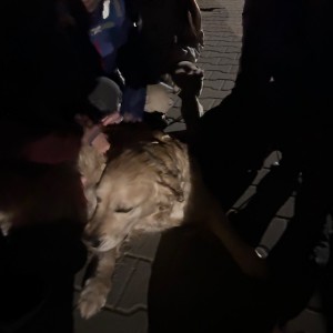 Výprava Lasiček do Absurdia