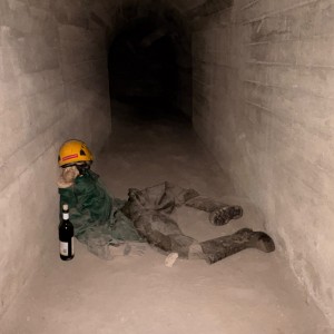 Výprava Lišek do Znojemského podzemí (15. 3. 2026)