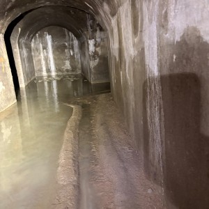 Výprava Lišek do Znojemského podzemí (15. 3. 2026)